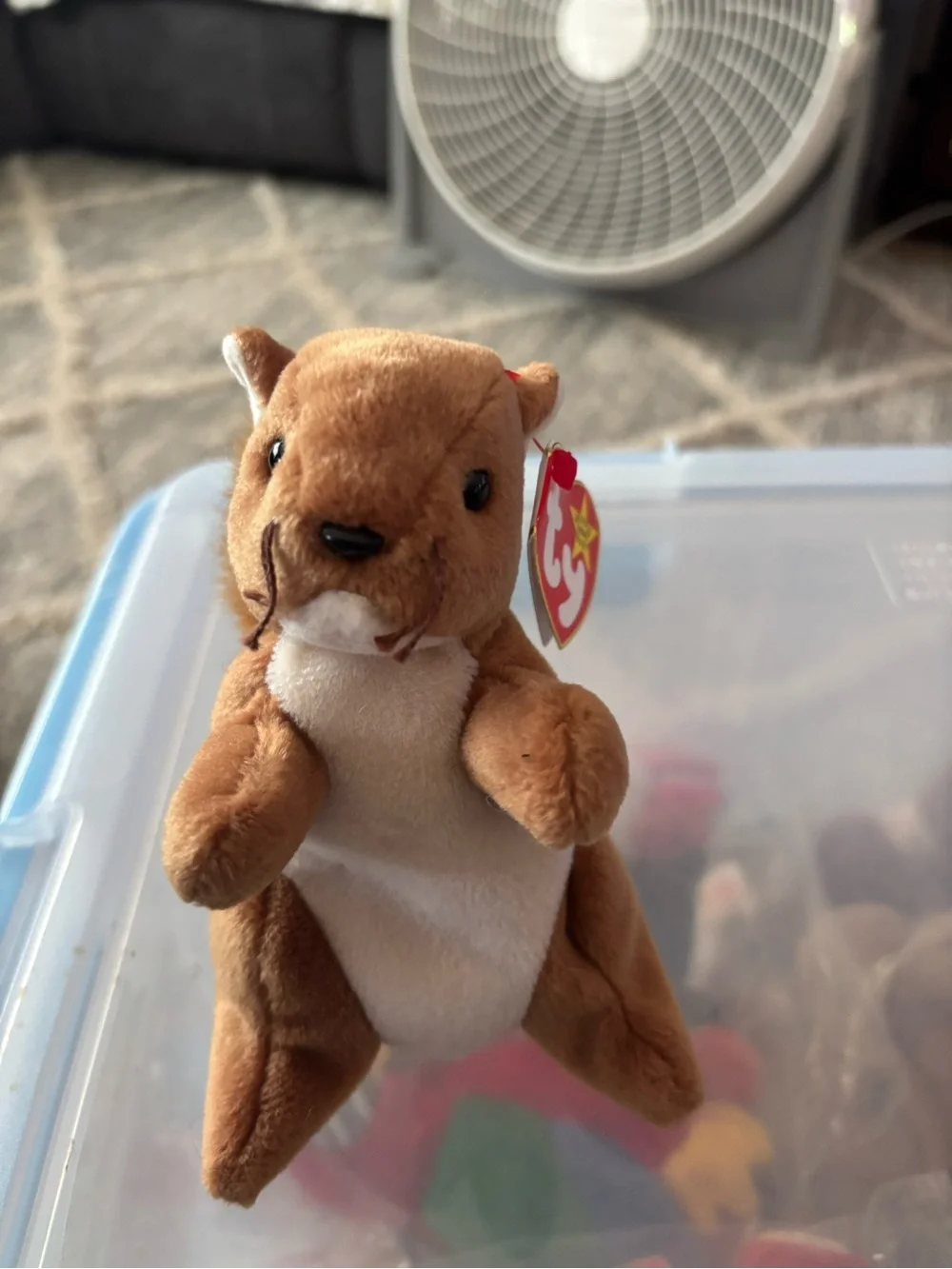 Ty three plush